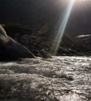 Arunachal Pradesh river turns black, thousands of fish die; locals blame China