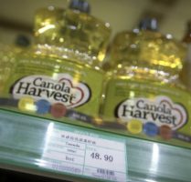 China removes ban on Canadian canola seeds