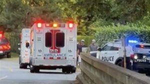 2 killed, 10 injured as vehicle rams into people involved in wedding ceremony