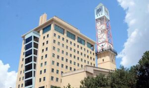 City of Mississauga seeks seeking members to serve on its committees, local boards and authorities