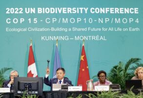 COP15: Historic Agreement on Biological Diversity Concludes in Montreal