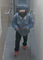 3 killed dead in Michigan State University shooting