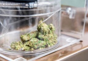 Retail Cannabis stores to be opened in Mississauga