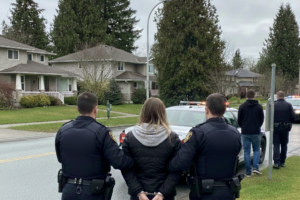 Two men arrested and charged with firearm offence